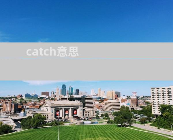 catch意思