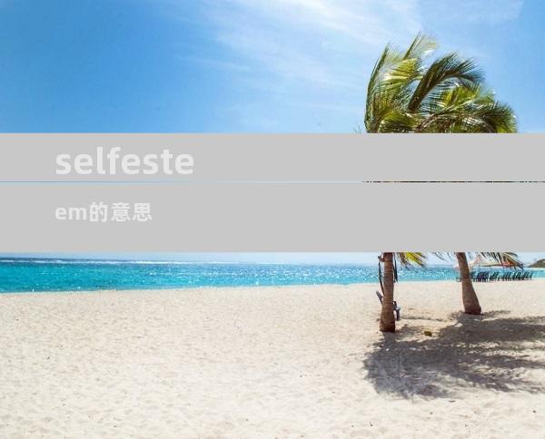 selfesteem的意思