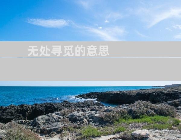 无处寻觅的意思