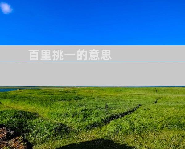 百里挑一的意思