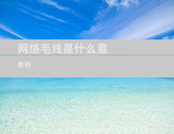 网络毛线是什么意思啊
