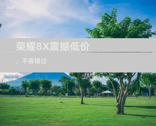 荣耀8X震撼低价，不容错过