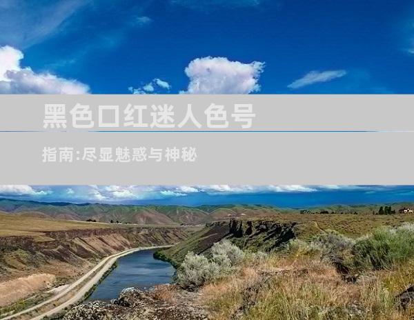 黑色口红迷人色号指南:尽显魅惑与神秘